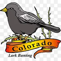 卡通手绘灰色树枝上鸟飘带-空若网 卡通手绘灰色树枝上鸟飘带-空若网