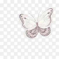 手绘蝴蝶-空若网 手绘蝴蝶-空若网