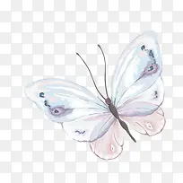 手绘蝴蝶-空若网 手绘蝴蝶-空若网