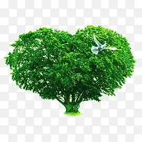 爱心的树木-空若网 爱心的树木-空若网