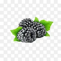 水果葡萄-空若网 水果葡萄-空若网