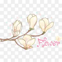 手绘玉兰花-空若网 手绘玉兰花-空若网