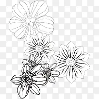 对称花纹-空若网 对称花纹-空若网