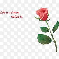 玫瑰花png矢量元素-空若网 玫瑰花png矢量元素-空若网
