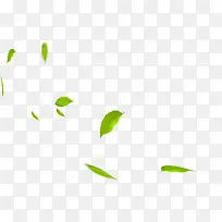 夏日摄影绿叶植物飘散-空若网 夏日摄影绿叶植物飘散-空若网