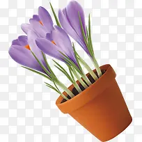 ��ɫ������޹�²�ʸ��-������