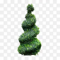 ��ɫ��������-������