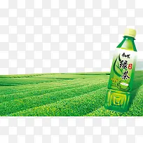 ��Ʒʵ�￵ʦ���̲�-������