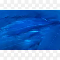 蓝色羽毛背景-空若网 蓝色羽毛背景-空若网