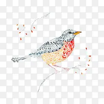 �й��ִ�-������