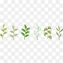 �ֻ���ɫֲ��ʸ��ͼ-������