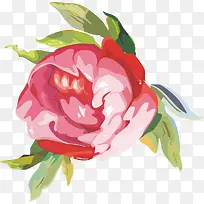 卡通花朵-空若网 卡通花朵-空若网