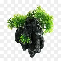 Ư��ʯͷˮ�尢���︡ʯ-������