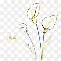 �ֻ��ɫ����-������