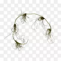 人工花卉jmc花束植物茎枝-空若网 人工花卉jmc花束植物茎枝-空若网