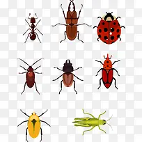 矢量手绘昆虫-空若网 矢量手绘昆虫-空若网