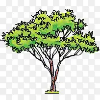 手绘绿色挺拔的大树-空若网 手绘绿色挺拔的大树-空若网