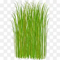 ͦ���̲�ͼƬ-������