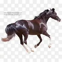 ������Ӱ�������ڵĿ���-������