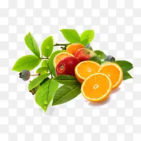 水果元素-空若网 水果元素-空若网