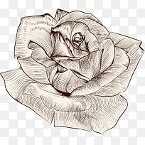 手绘花卉-空若网 手绘花卉-空若网