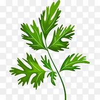 卡通手绘蔬菜装饰海报设计香菜-空若网 卡通手绘蔬菜装饰海报设计香菜-空若网