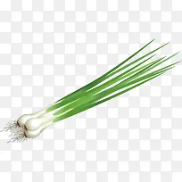 ���װ�����-������