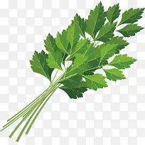 香菜装饰设计-空若网 香菜装饰设计-空若网