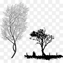 ¹ÅÊ÷ÆÕ¶ý¿¨Í¨¹ÅÊ÷-¿ÕÈôÍø ¹ÅÊ÷ÆÕ¶ý¿¨Í¨¹ÅÊ÷-¿ÕÈôÍø