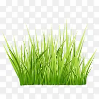 绿色草丛装饰图案-空若网 绿色草丛装饰图案-空若网