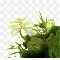 手绘国花荷花png元素-空若网 手绘国花荷花png元素-空若网