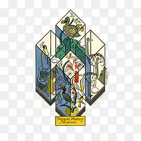 玻璃展柜中的动植物-空若网 玻璃展柜中的动植物-空若网