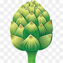 蔬菜-空若网 蔬菜-空若网