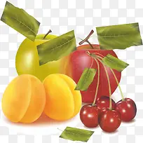 Ò»¶ÑË®¹û-¿ÕÈôÍø Ò»¶ÑË®¹û-¿ÕÈôÍø