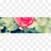 简约大气花朵海报背景-空若网 简约大气花朵海报背景-空若网