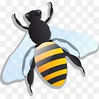 手绘黄色蜜蜂翅膀-空若网 手绘黄色蜜蜂翅膀-空若网