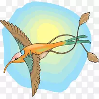 蜂鸟9鸟翅膀剪贴画-蜂鸟-空若网 蜂鸟9鸟翅膀剪贴画-蜂鸟-空若网