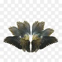 �����ʽ-������