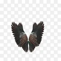 ����ĳ��-������