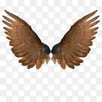 天使翅膀-空若网 天使翅膀-空若网