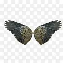 �����ë-������