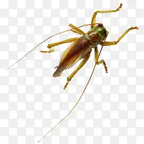 �����������-������