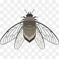 羽翼折叠式飞行昆虫-空若网 羽翼折叠式飞行昆虫-空若网