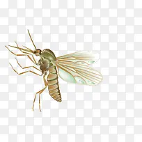 �����ֻ����γ�򴥽Ƿ���-������