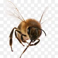 �Ʒ�����-������