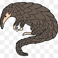 卡通超可爱穿山甲-空若网 卡通超可爱穿山甲-空若网