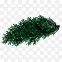 ��֦-������