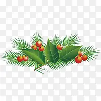 ��ɫʥ����֦-������