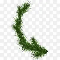 Ê¥µ®½Úͼ°¸-¿ÕÈôÍø Ê¥µ®½Úͼ°¸-¿ÕÈôÍø