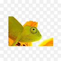 ±äÉ«Áú-¿ÕÈôÍø ±äÉ«Áú-¿ÕÈôÍø